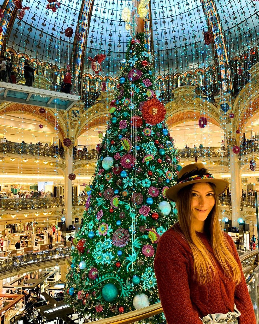 cây thông Noel ảnh 9 cay thong Noel anh 9
