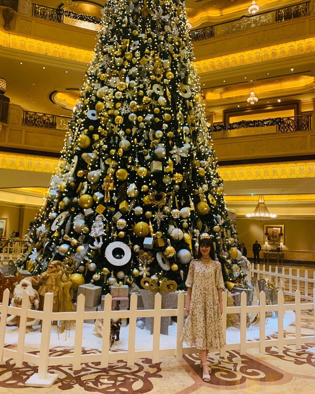 cây thông Noel ảnh 4 cay thong Noel anh 4