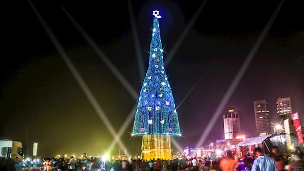cây thông Noel ảnh 6 cay thong Noel anh 6