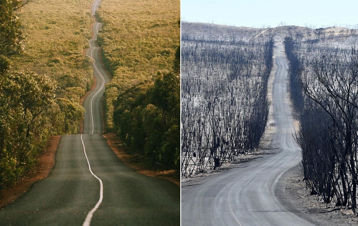 Canh doi lap truoc va sau tham hoa chay rung o Australia hinh anh