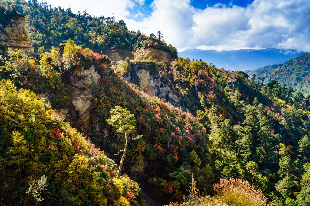 du lịch Bhutan ảnh 8 du lich Bhutan anh 8