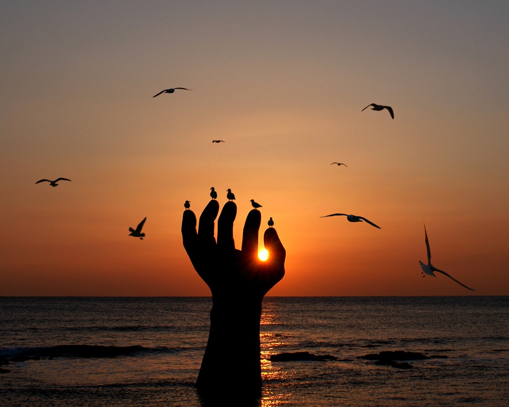 Ký sinh trùng ảnh 18 Ky sinh trung anh 18