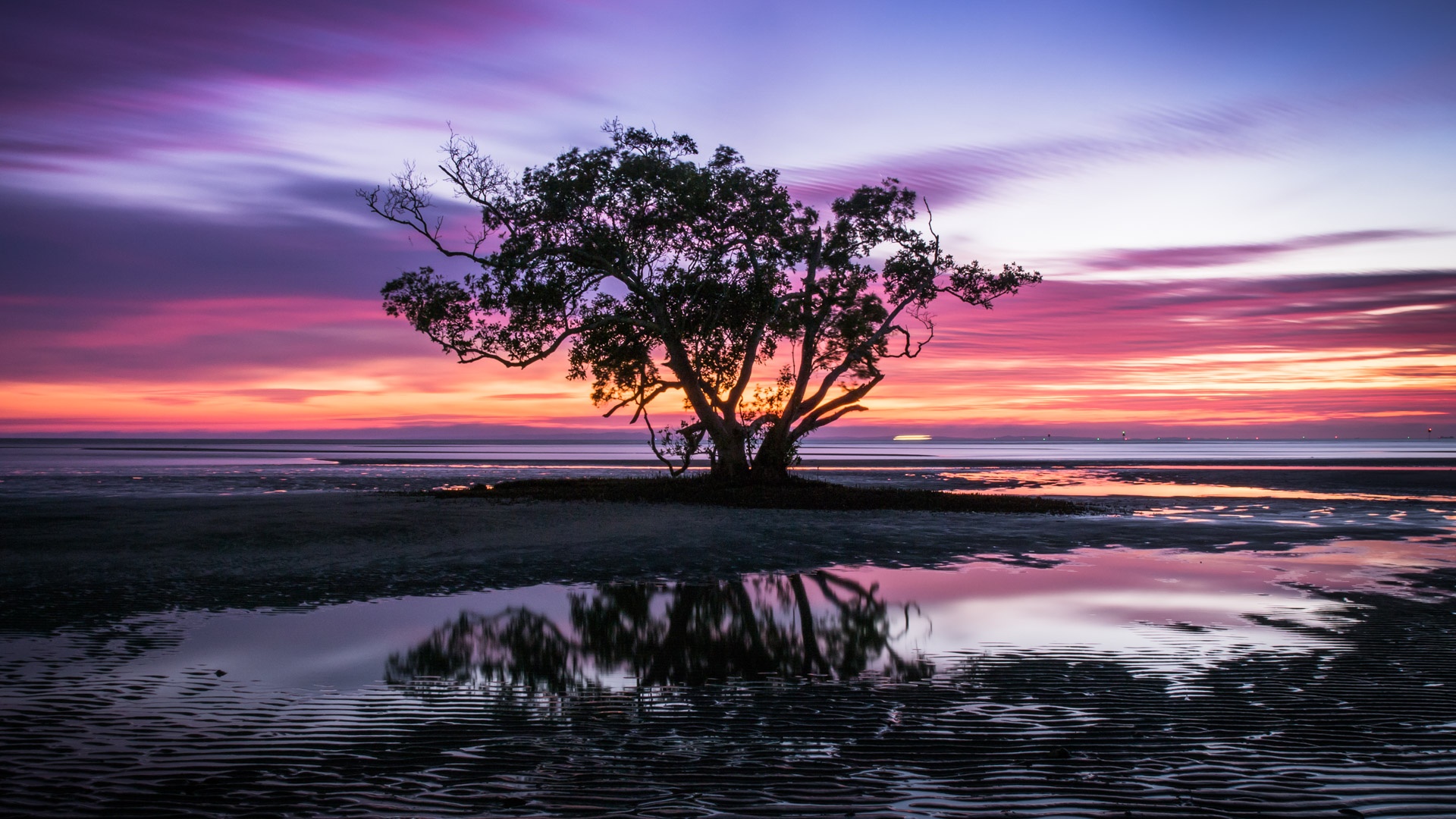 Hạ cánh nơi anh ảnh 22 Ha canh noi anh anh 22