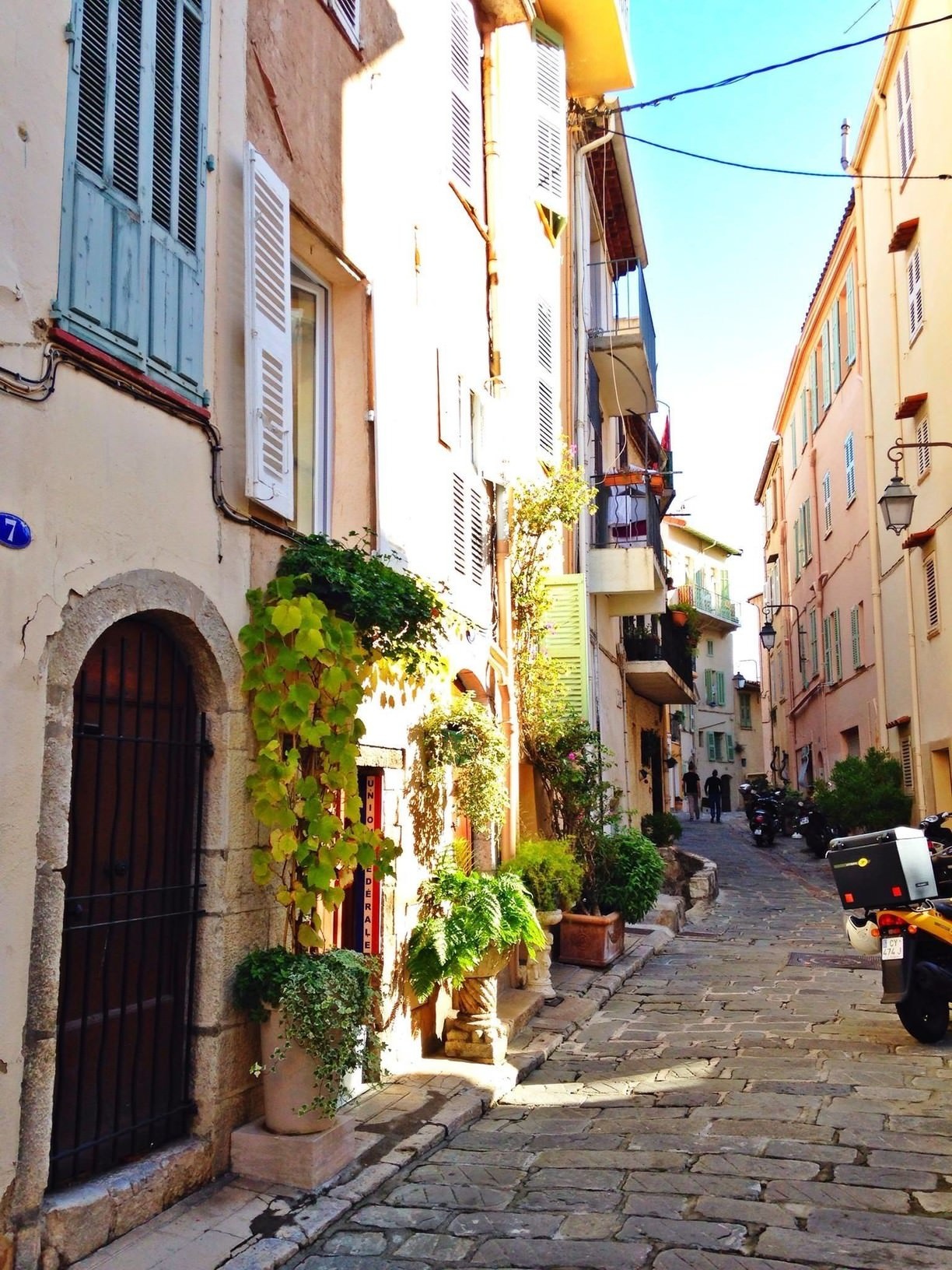 Ký sinh trùng ảnh 10 Ky sinh trung anh 10