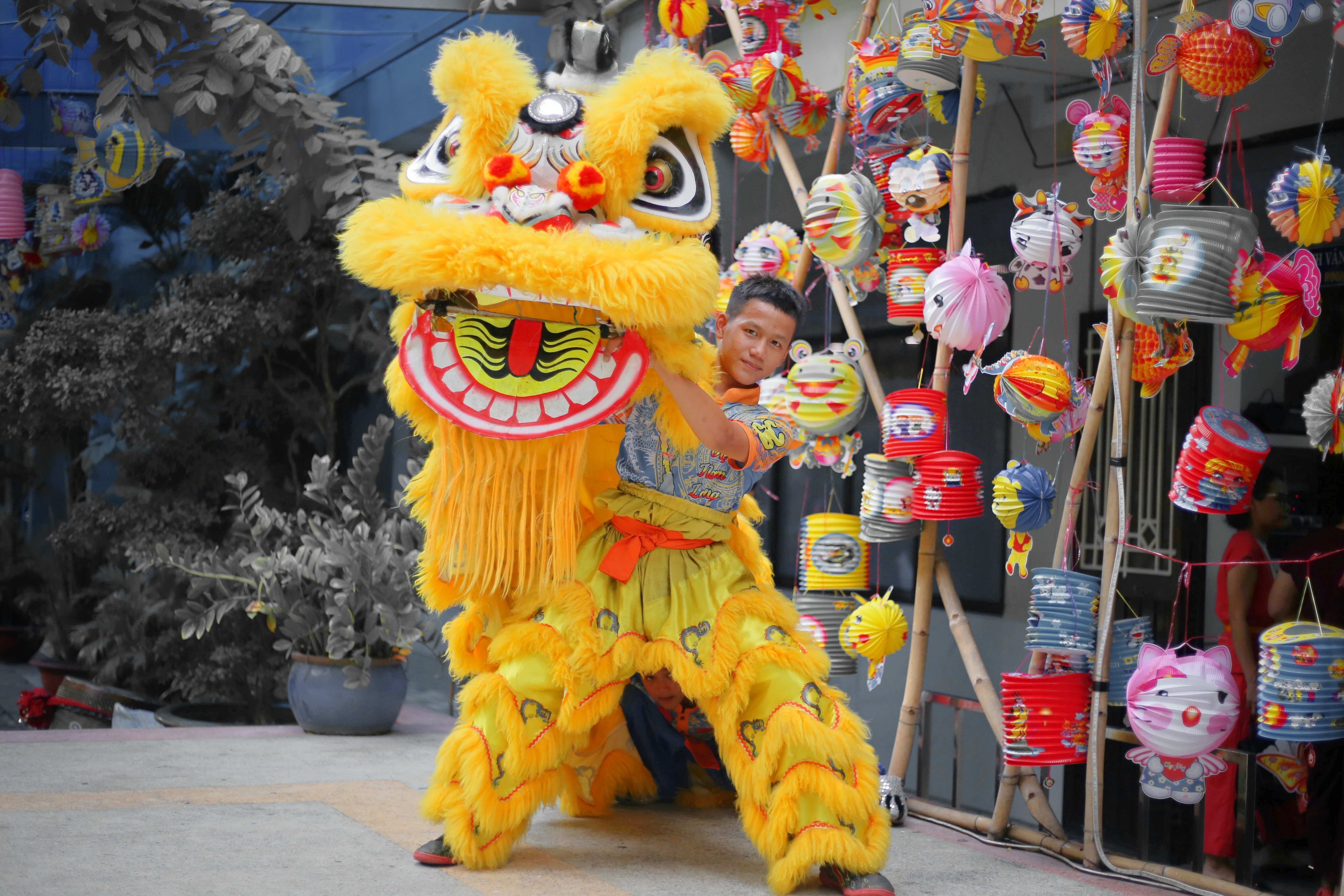 Doi lan nhi hiem thay o TP.HCM hinh anh