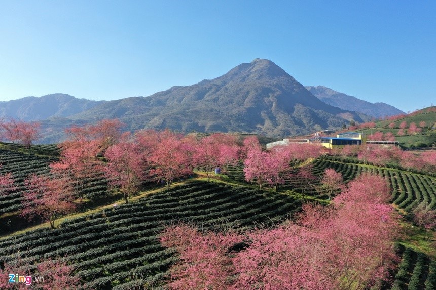 du lich,  cuoc thi,  gioi tre,  2019,  hahalolo,  quang dai anh 2