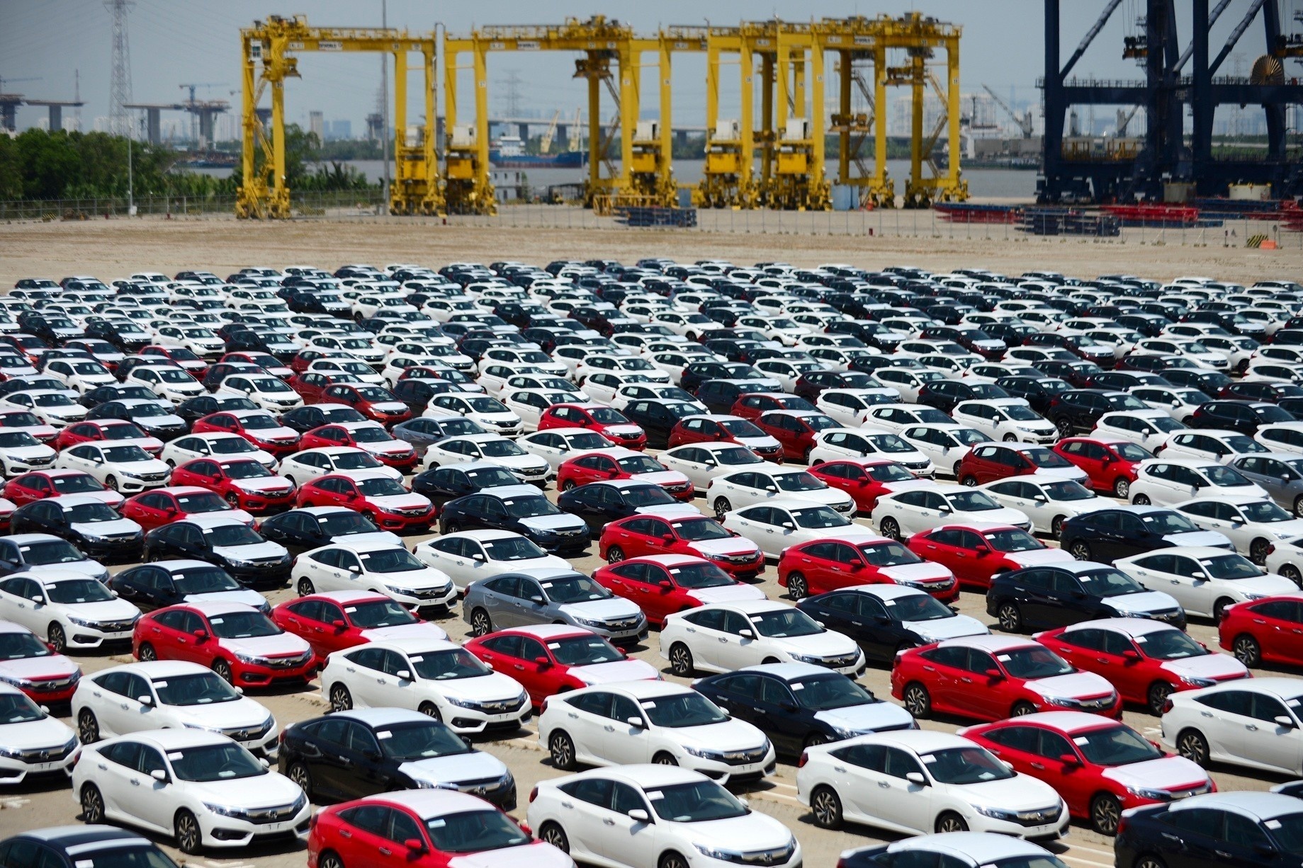 VEAM sap chi gan 5.000 ty dong tien mat tra co tuc hinh anh