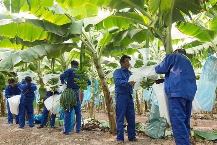 HAGL bao lai hon 80 ty dong trong thang 5 hinh anh