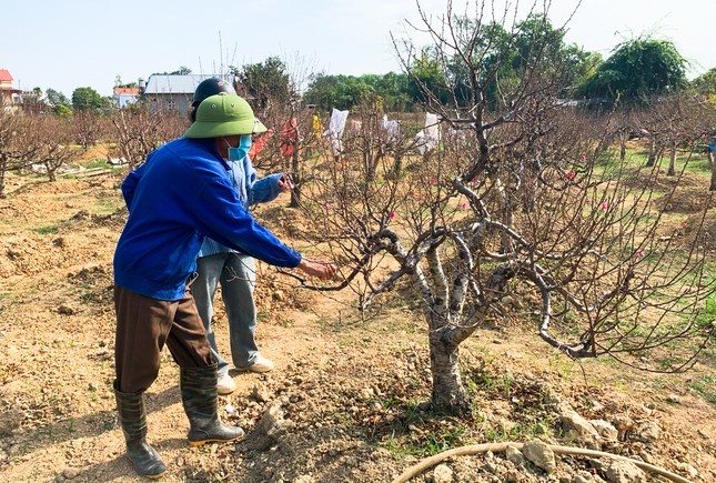 lang dao thai nguyen anh 2