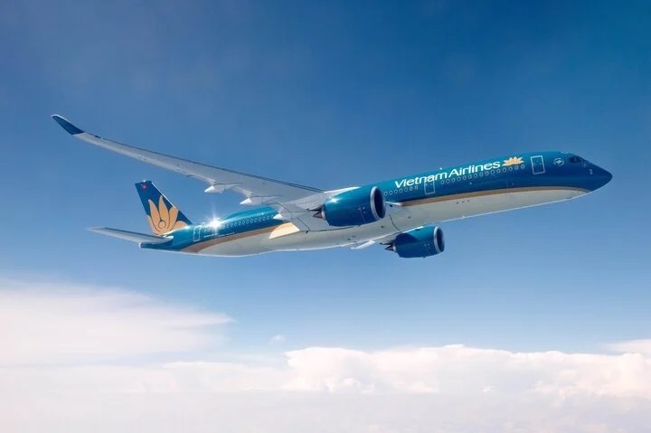 De xuat gia han khoan no 4.000 ty dong go kho cho Vietnam Airlines hinh anh
