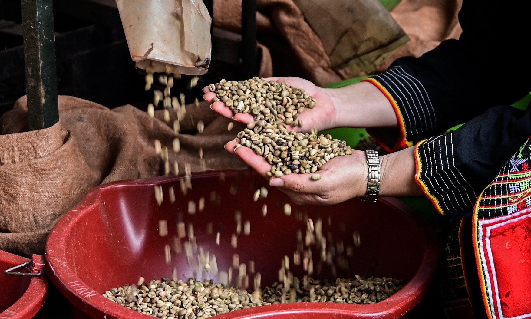 Thu tuong giao nghien cuu ho tro DN tam tru gao, ca phe tranh rot gia hinh anh