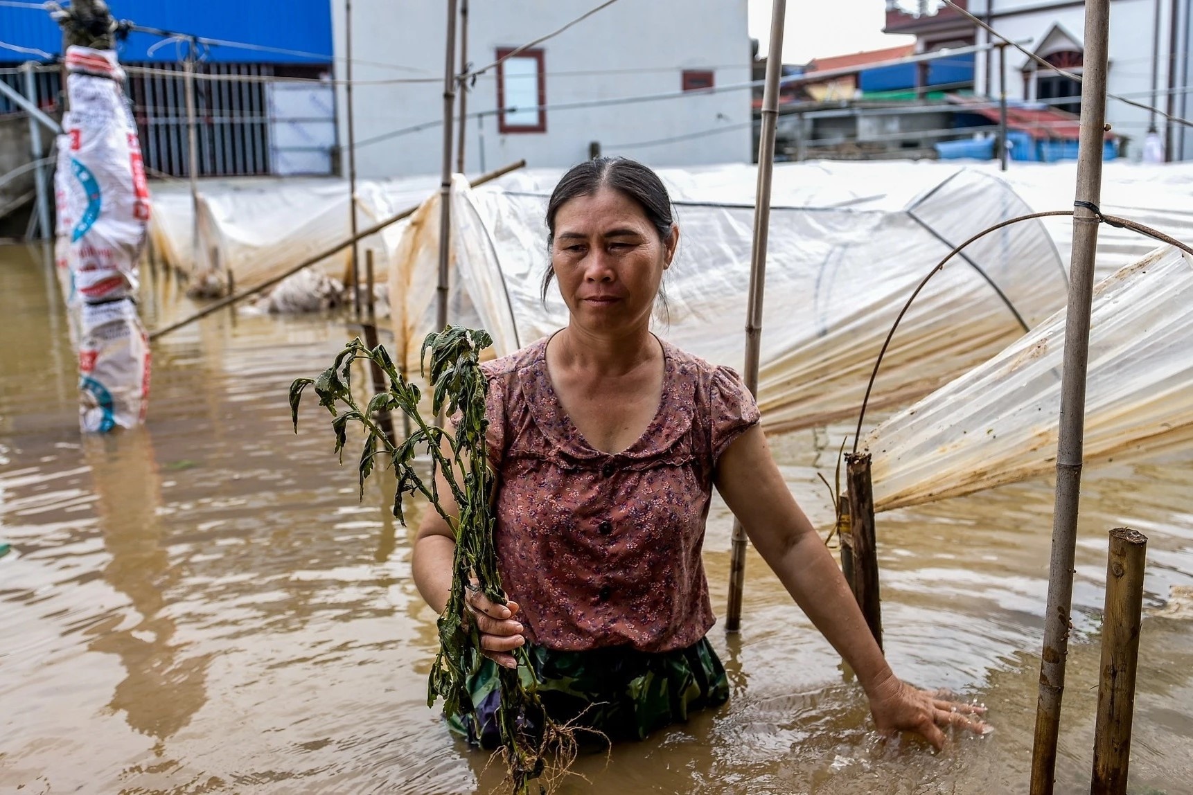 Nguoi dan, doanh nghiep bi anh huong do bao so 3 duoc co cau no hinh anh