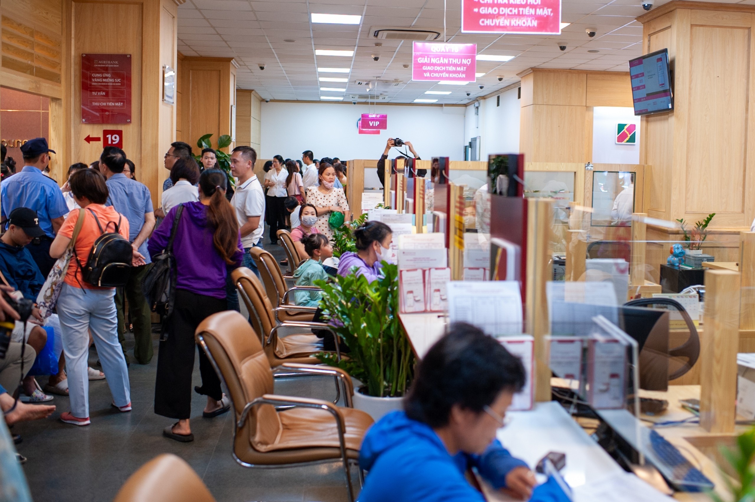 Gia vang mieng giam tiep 1 trieu, mua ngay dau da lo 3 trieu dong hinh anh