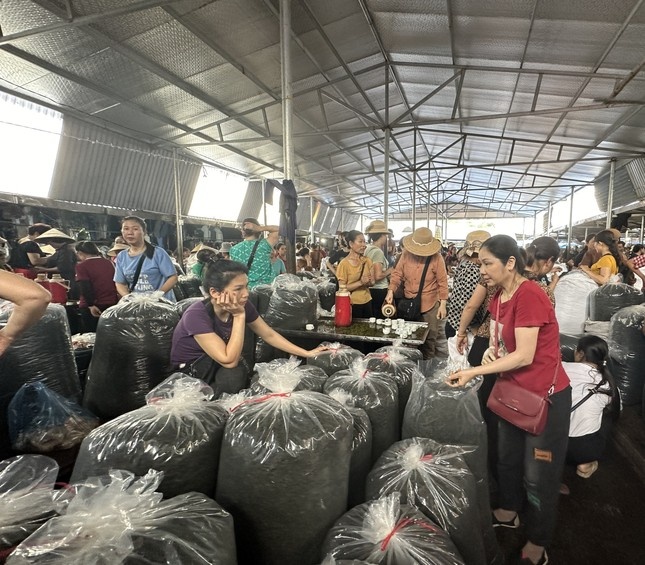 Vung che dac san Tan Cuong: Dang long vi che mat gia hinh anh