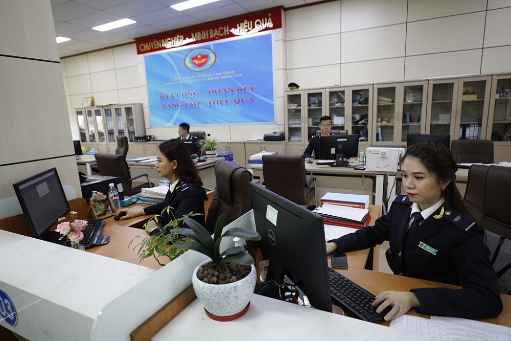 He thong Hai quan dien tu gap su co hinh anh