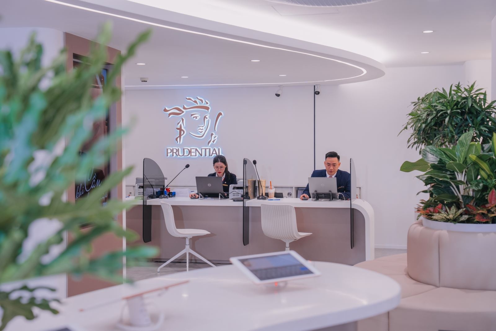 Mot cong ty bao hiem nam von 3 ngan hang lon hinh anh