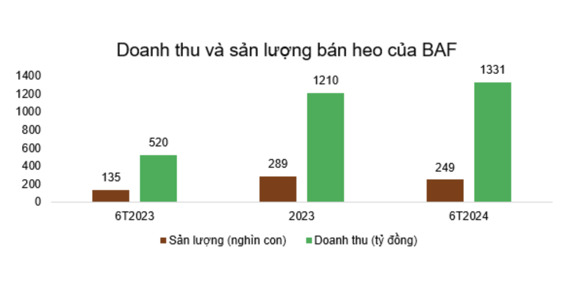 nganh heo anh 1