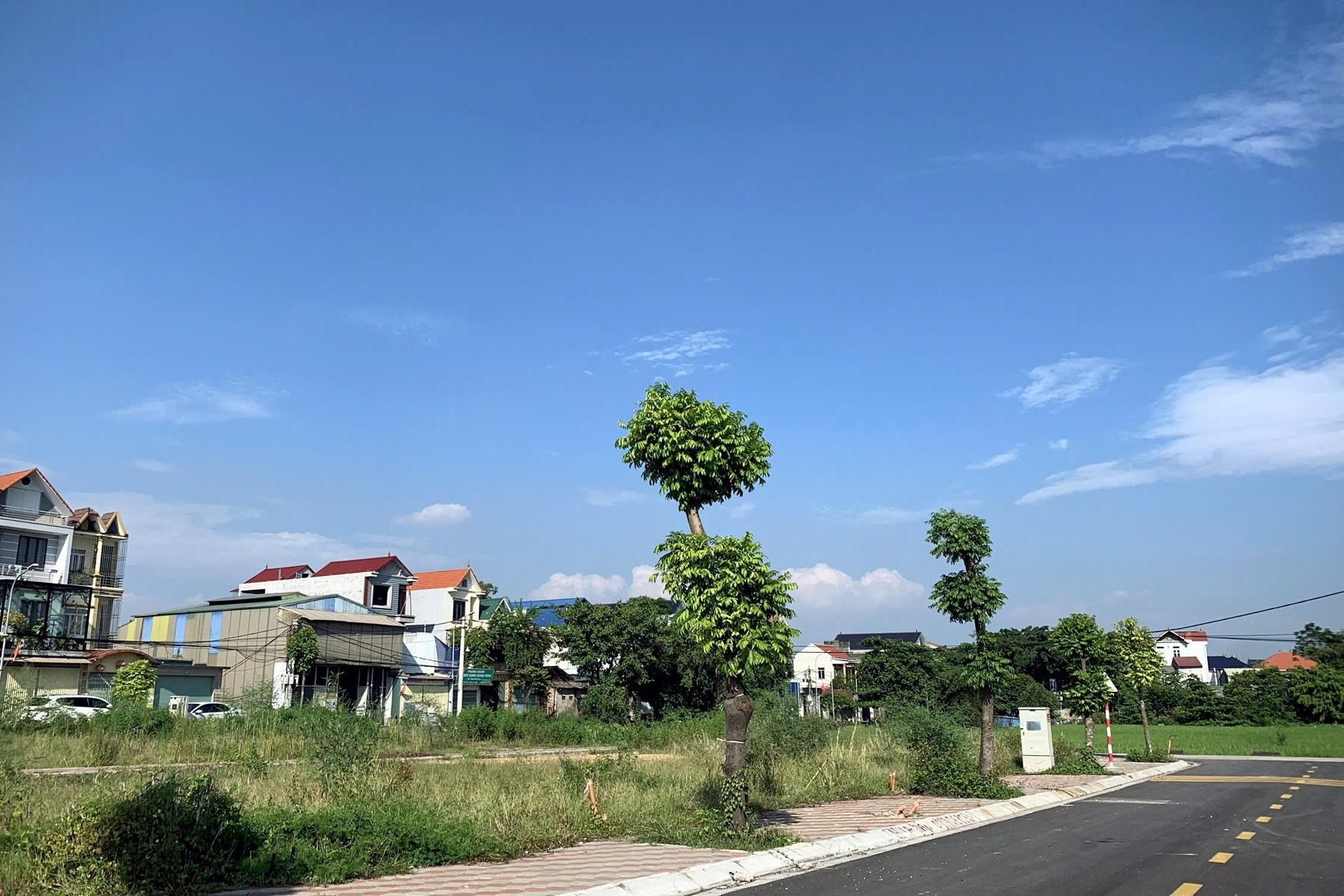 30 luong vang khong mua noi manh dat, dan khu dau gia lo kho co nha hinh anh