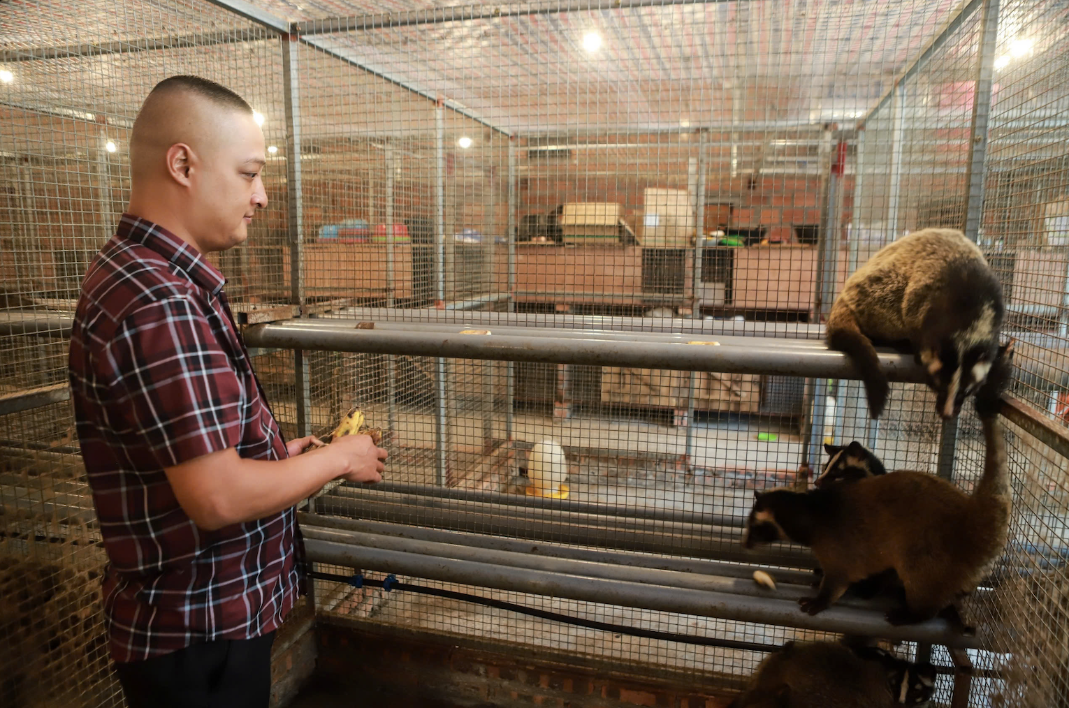 nuoi chon huong anh 1