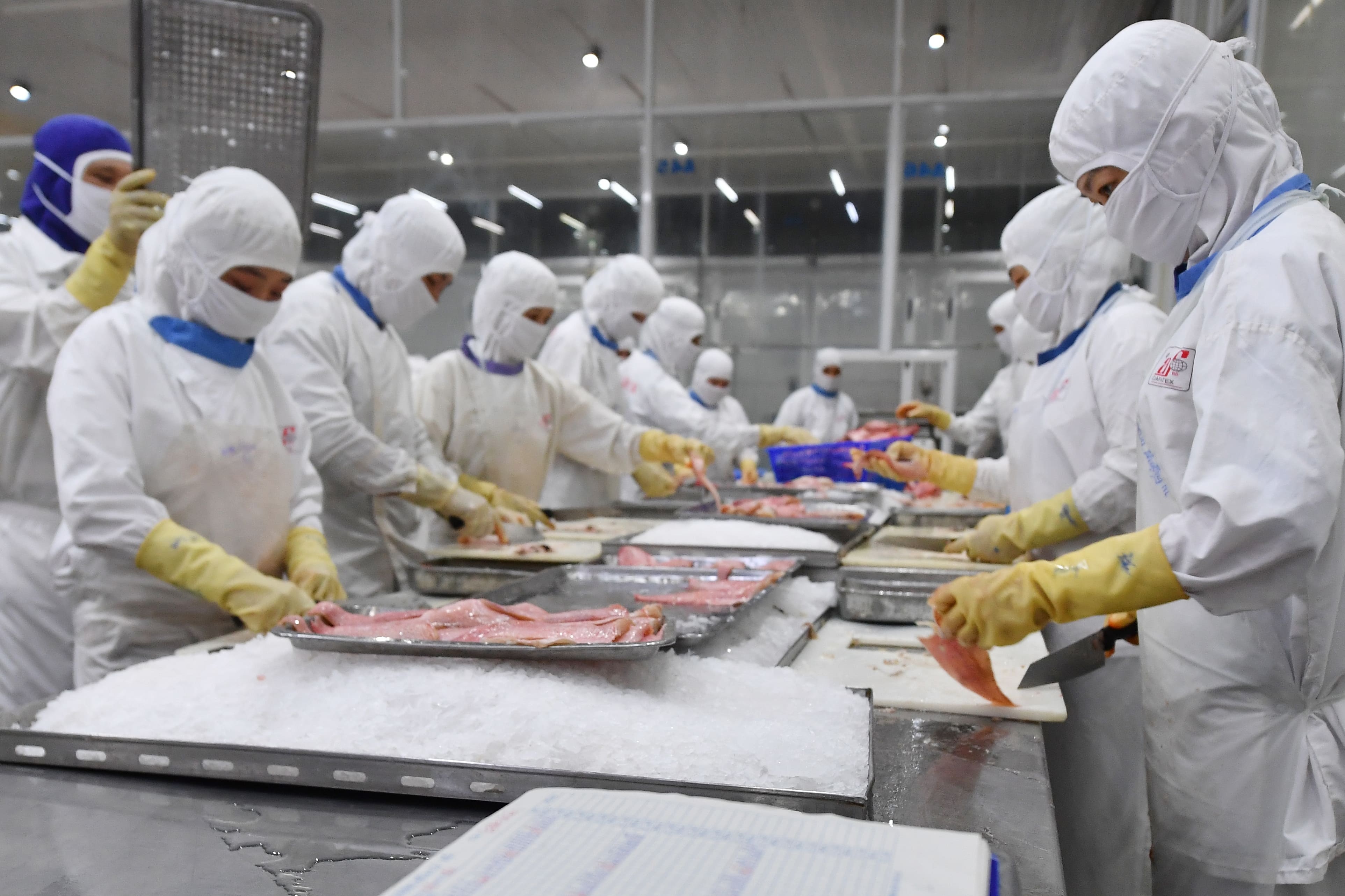 Xuat khau nong lam thuy san vuot 50 ty USD hinh anh