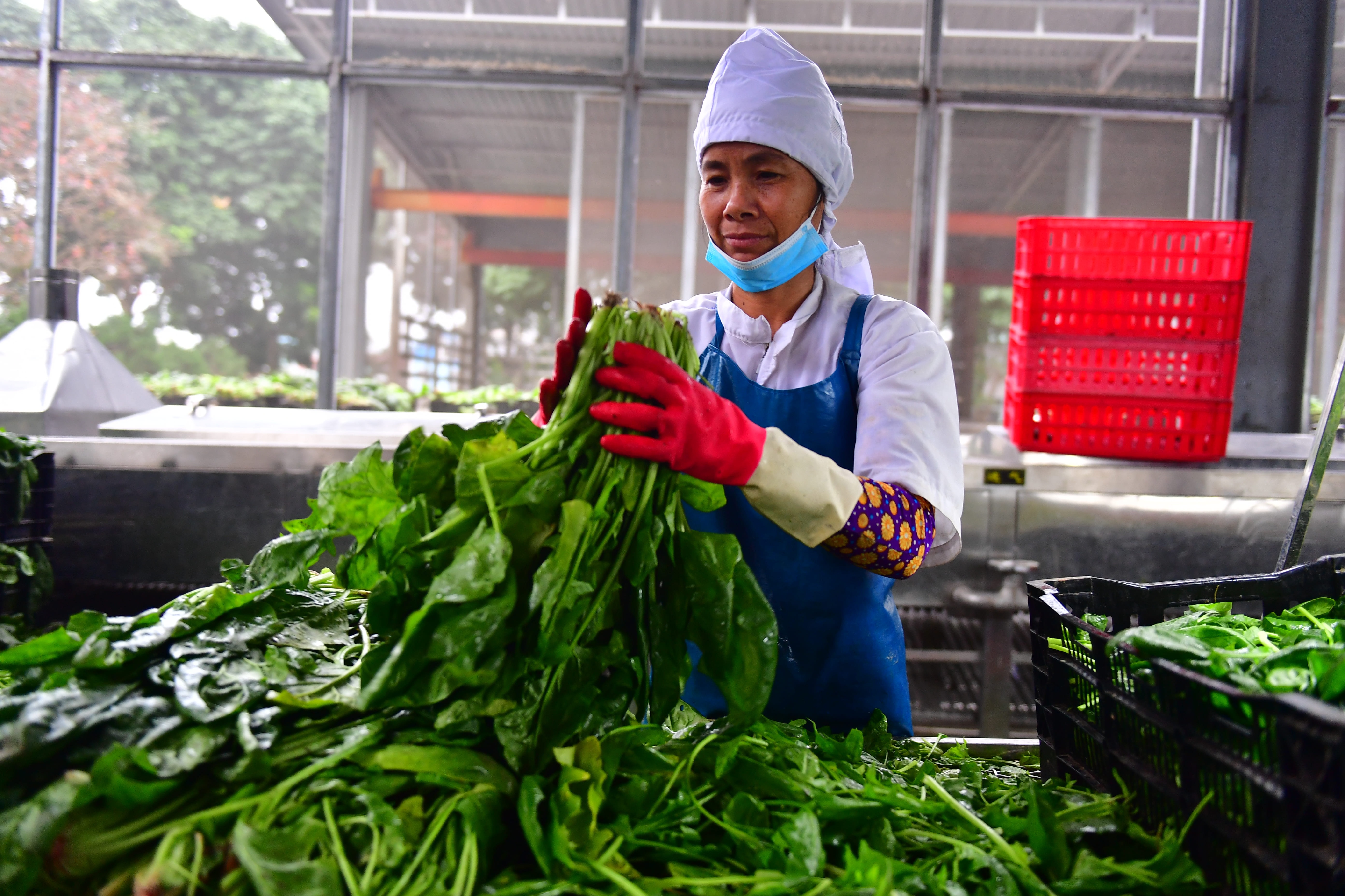 kim ngach thuong mai anh 1