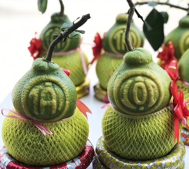 cay canh choi tet anh 3