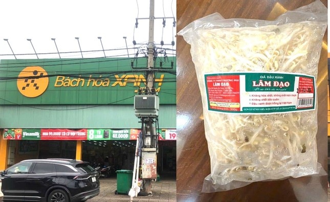 Ai chiu trach nhiem vu gan 3.000 tan gia do ngam chat cam? hinh anh