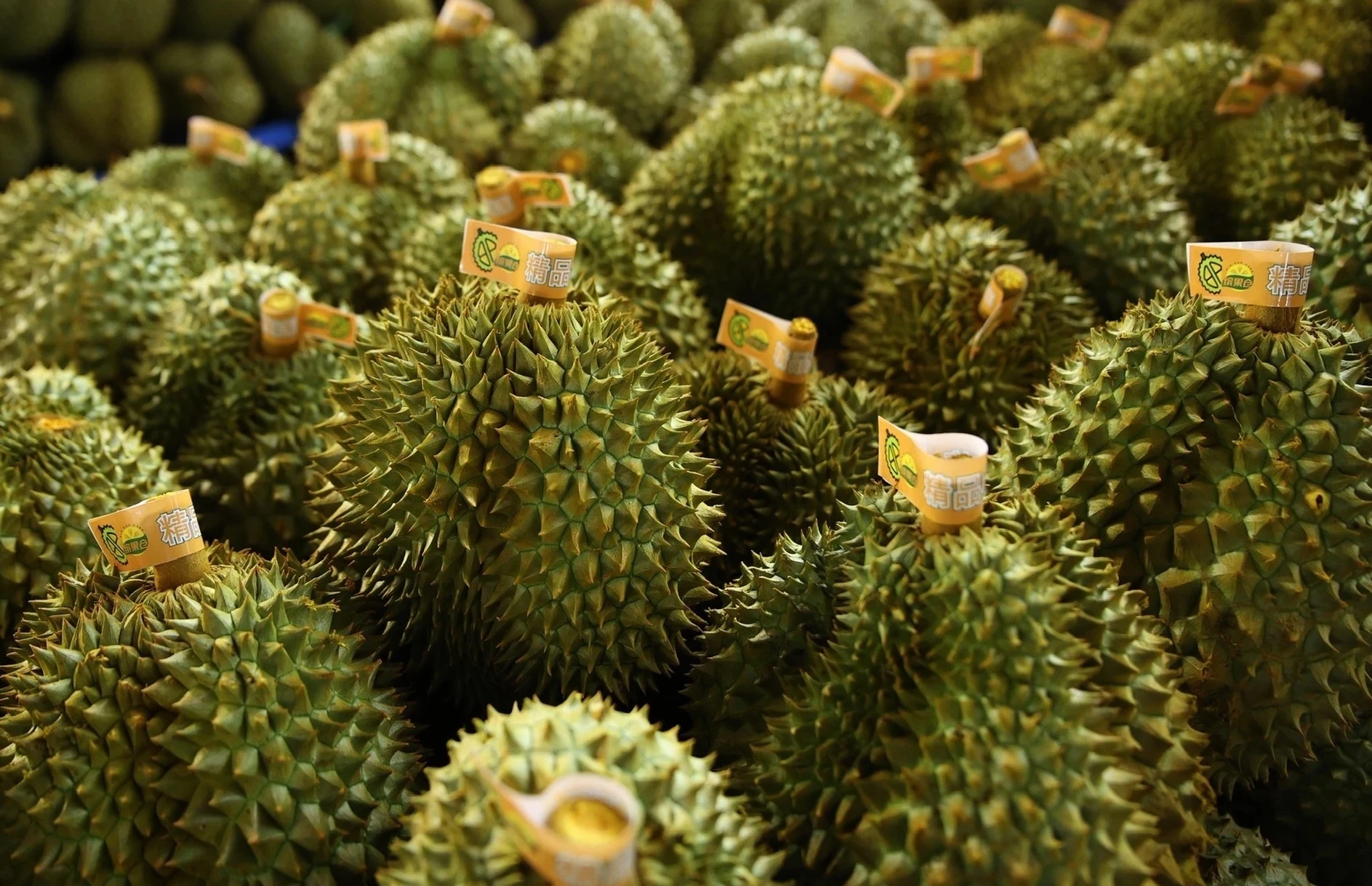 Vi sao xuat khau sau rieng Viet Nam de dang vuot 3,1 ty USD hinh anh