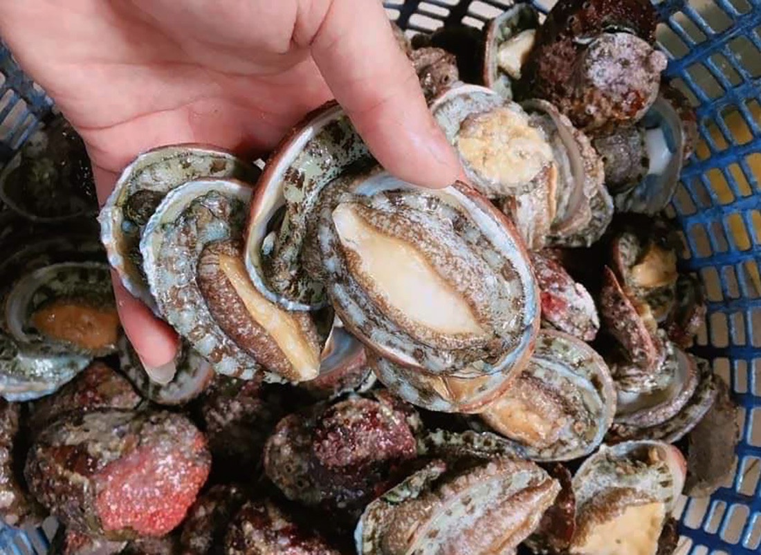 hai san trung quoc anh 3