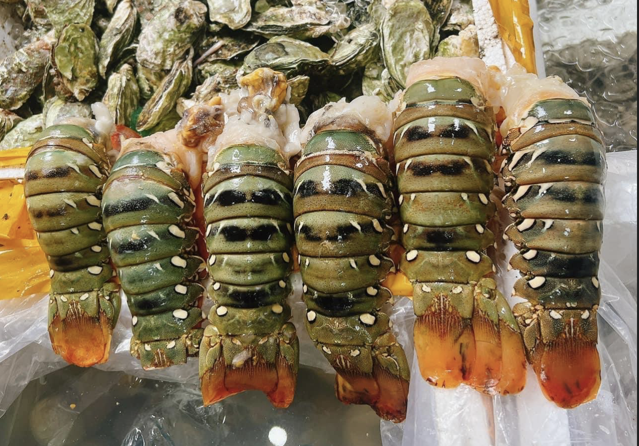 hai san trung quoc anh 2