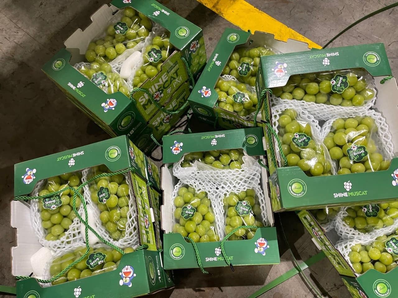 nho sua trung quoc,  nho sua nhat ban anh 1