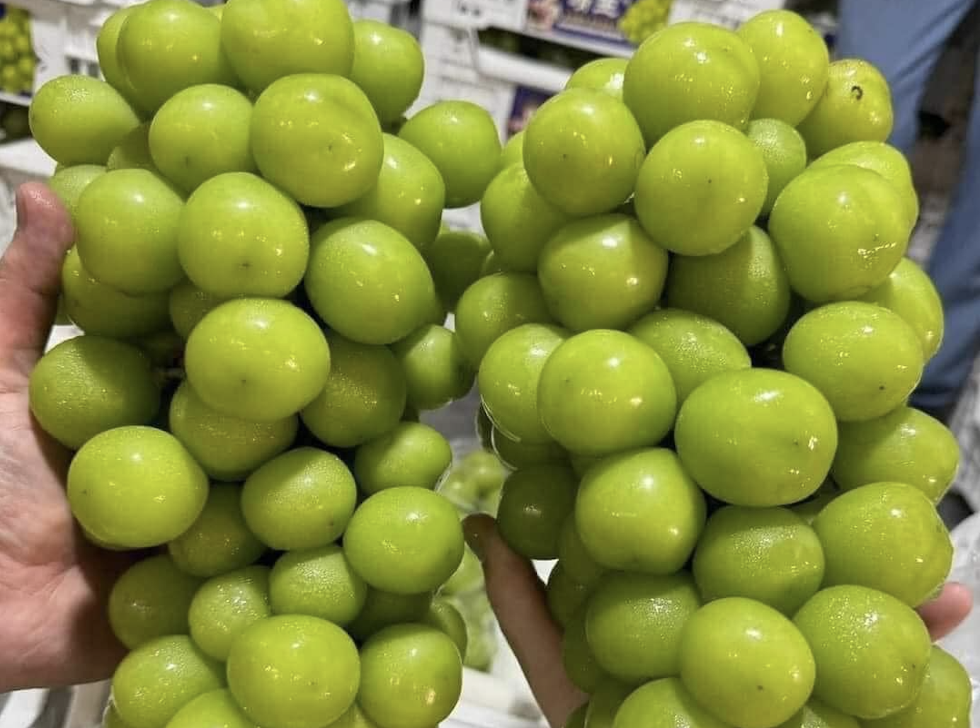 Nho sua 'quy toc' Trung Quoc do bo cho Tet ban gia sieu re hinh anh