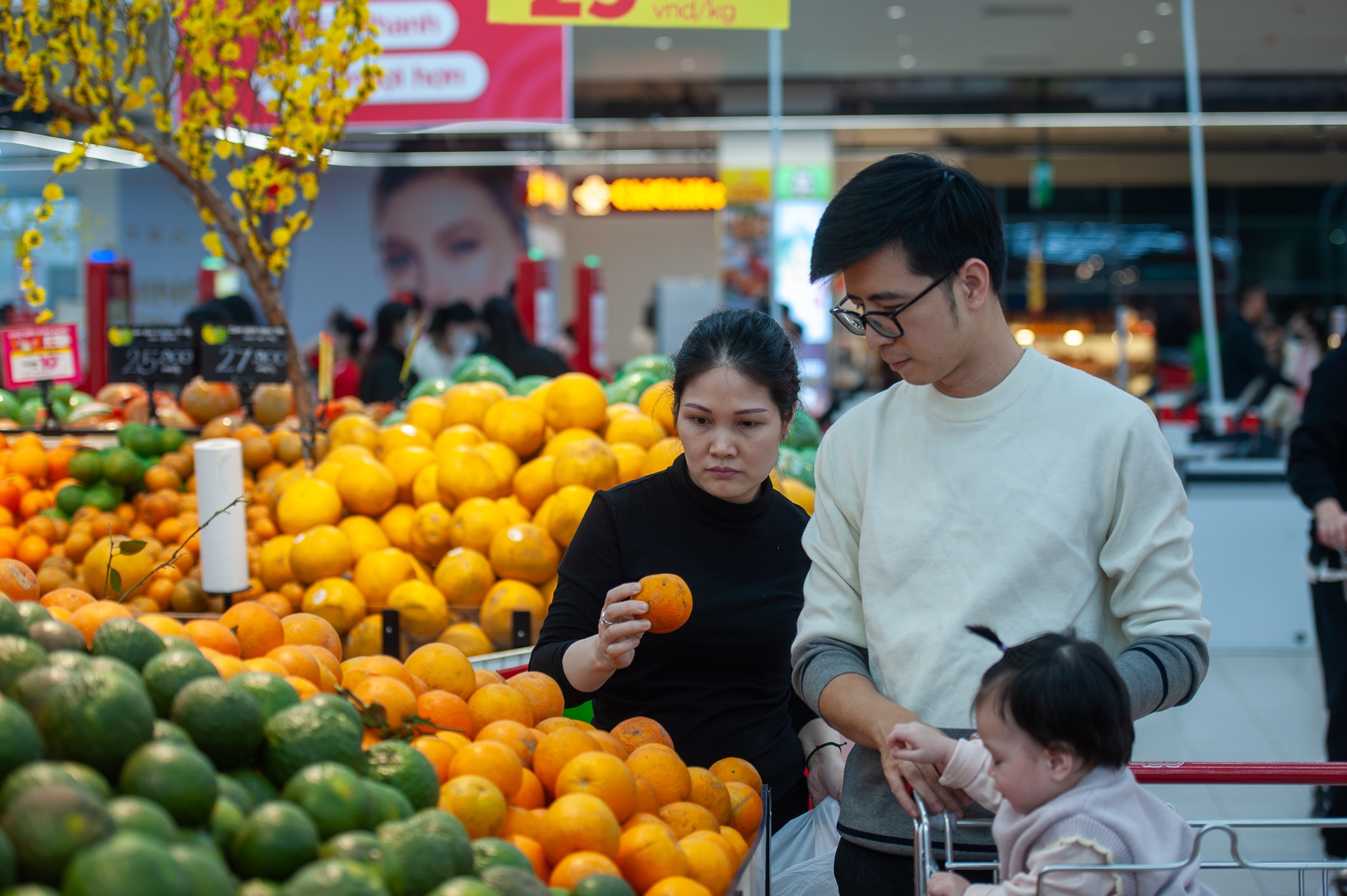 Viet Nam chi hon 1,5 ty USD nhap rau qua tu Trung Quoc va My hinh anh