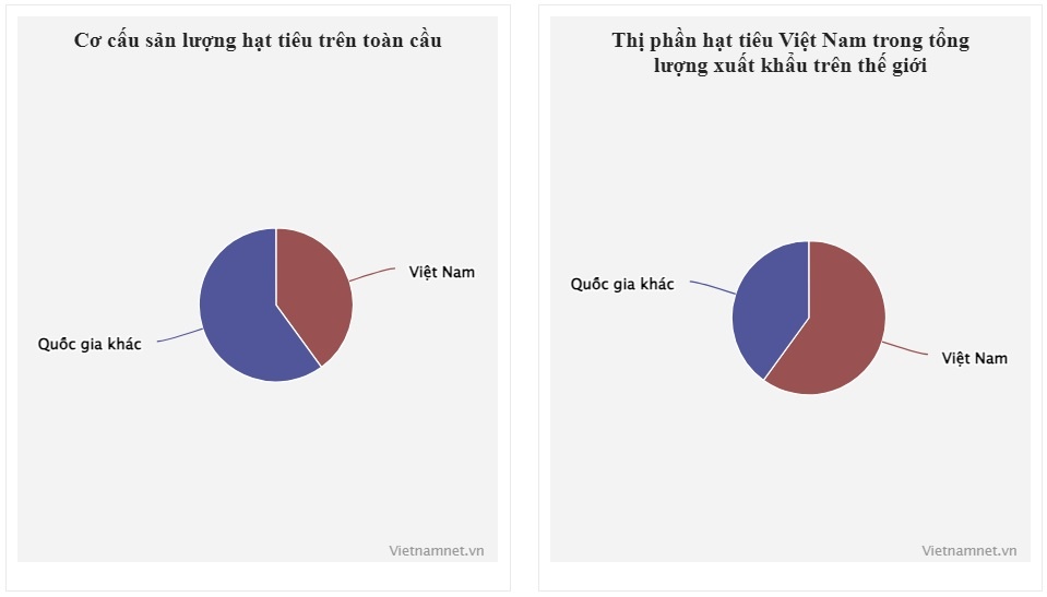 xuat khau ho tieu anh 2