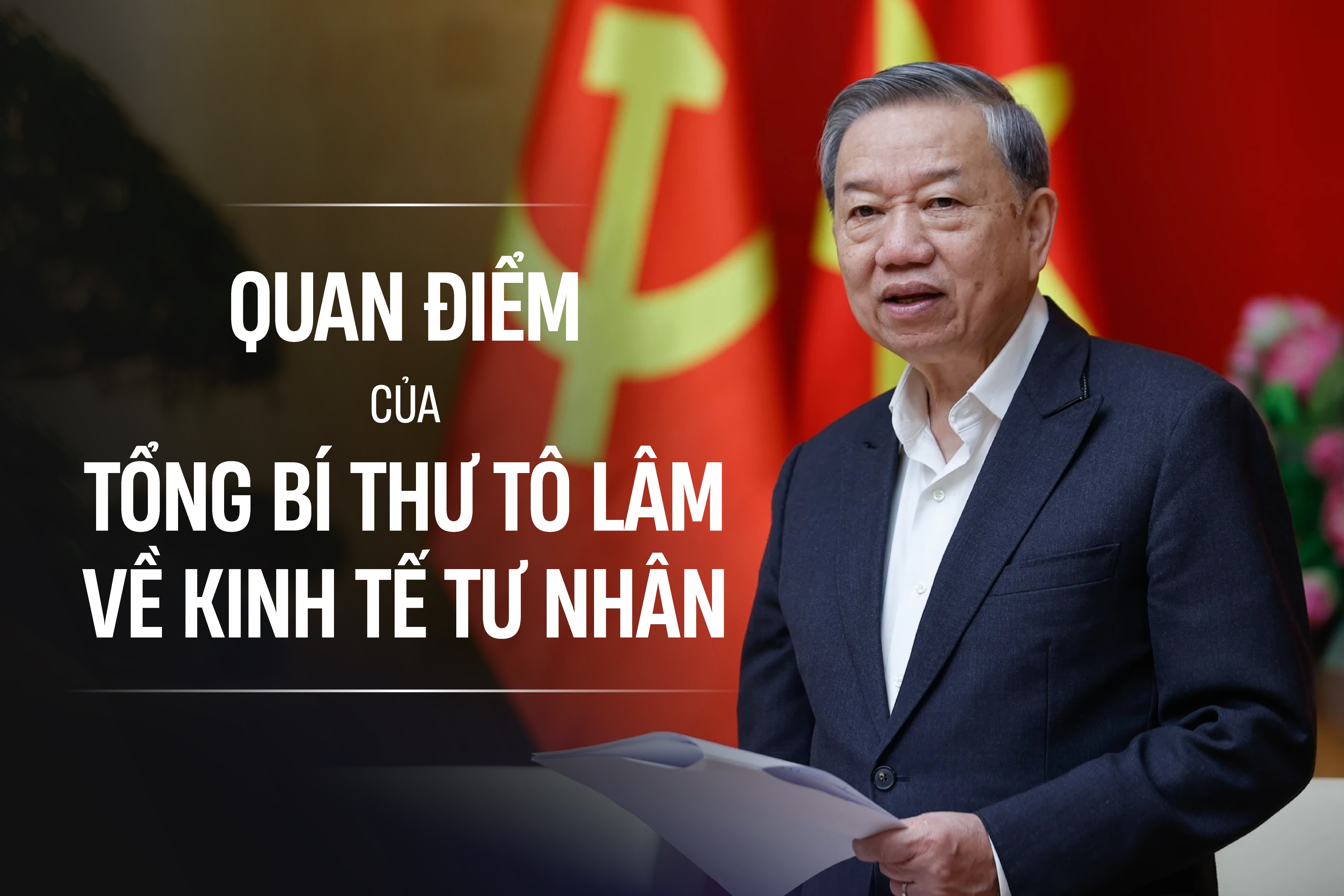 Quan diem cua Tong Bi thu To Lam ve kinh te tu nhan hinh anh