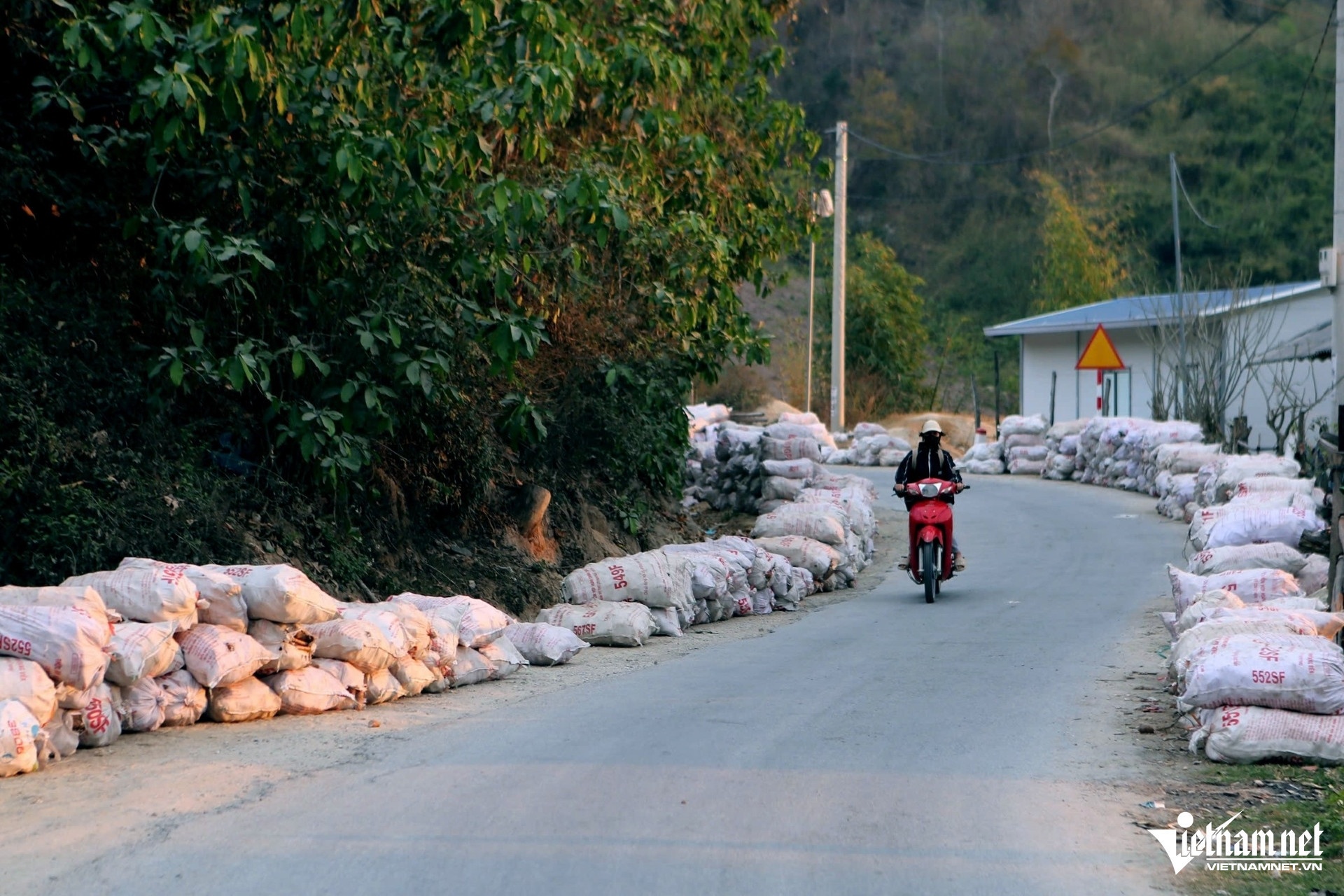 nong dan trong san anh 1
