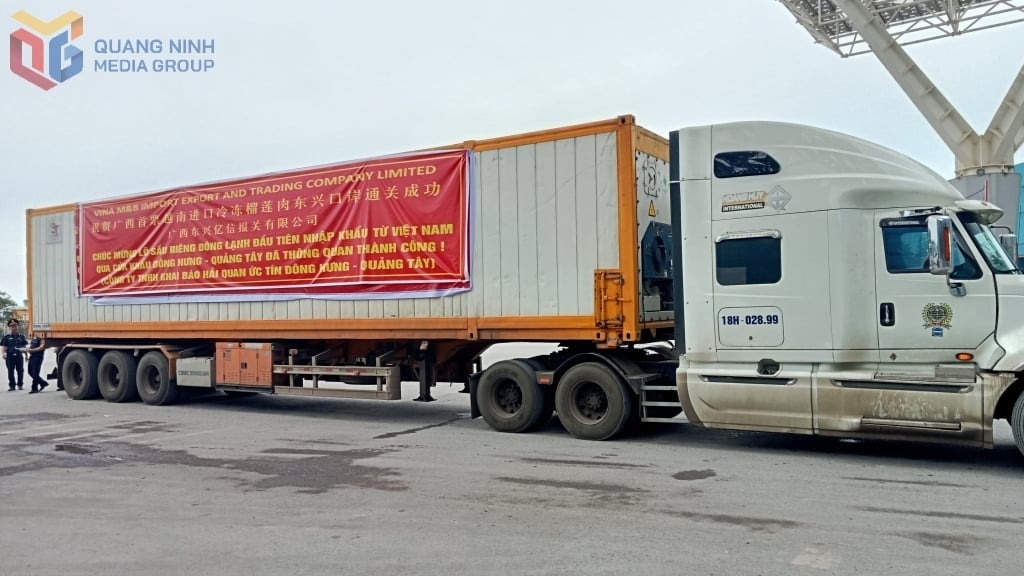 sau rieng anh 1