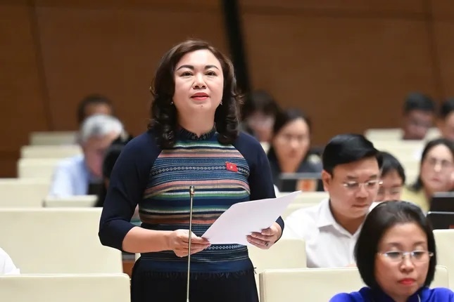 dai bieu quoc hoi anh 1