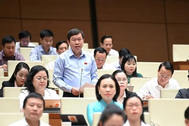 dai bieu quoc hoi anh 2