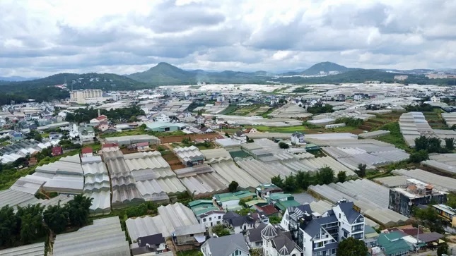 gia nha da lat anh 1