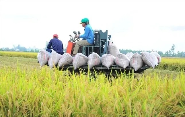 xuat khau nong san anh 1