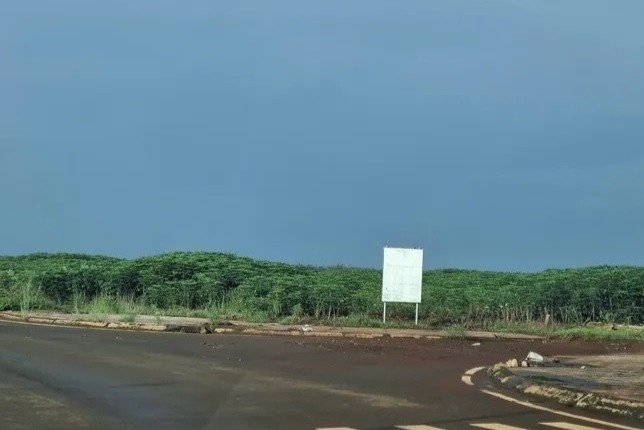 Dong Nai dau gia 2 khu dat nghin ty hinh anh