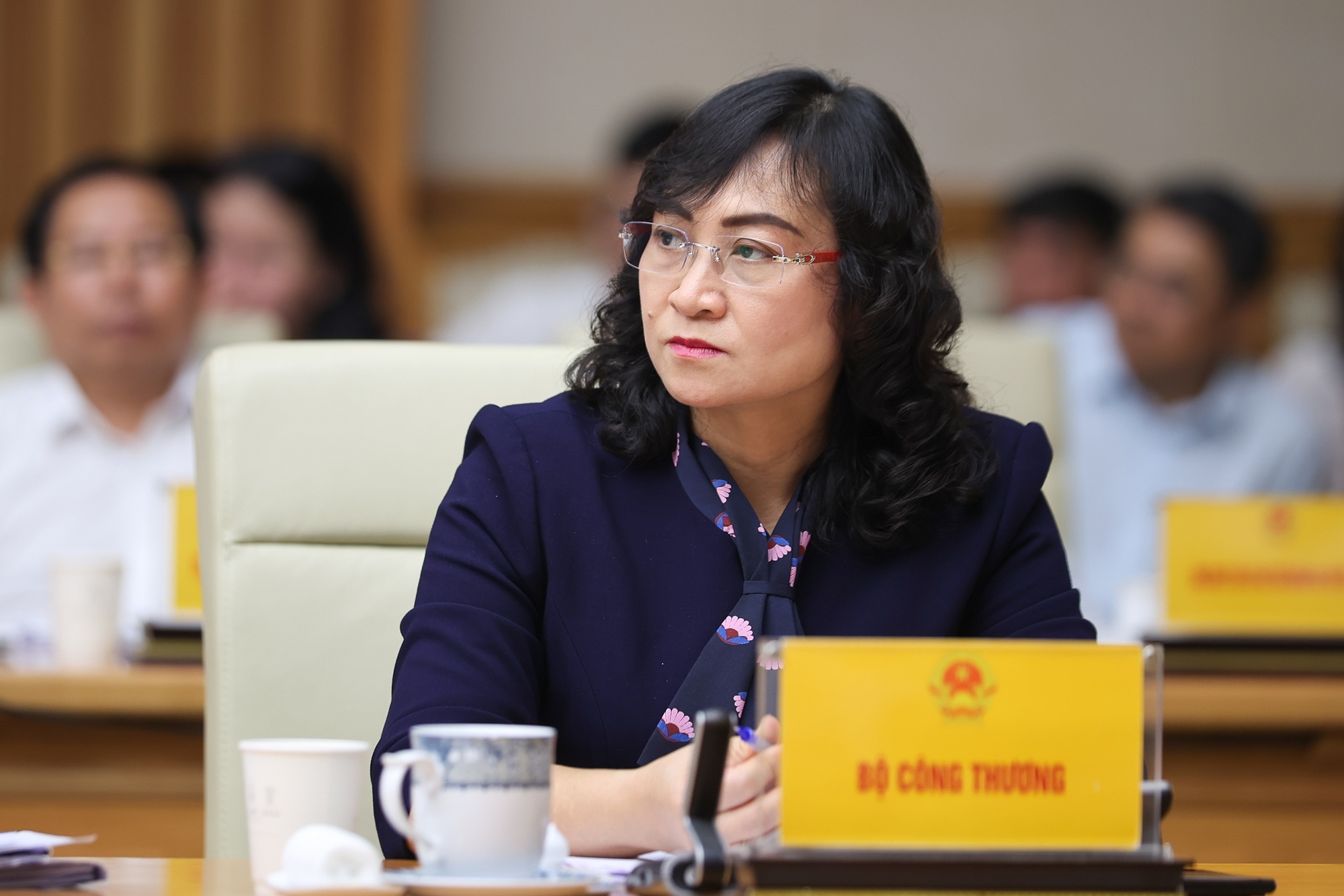 Bo Cong Thuong: Dam phan Hiep dinh thuong mai doi ung can bang voi My hinh anh