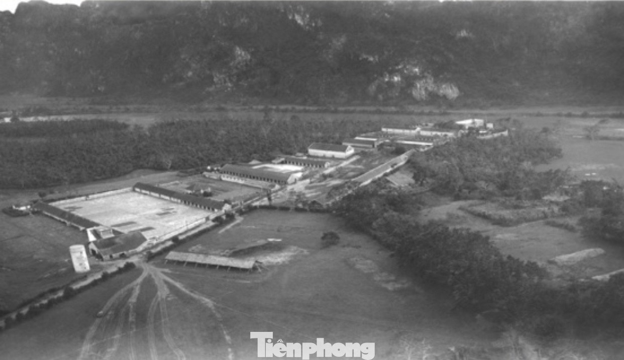 nha may in tien anh 4