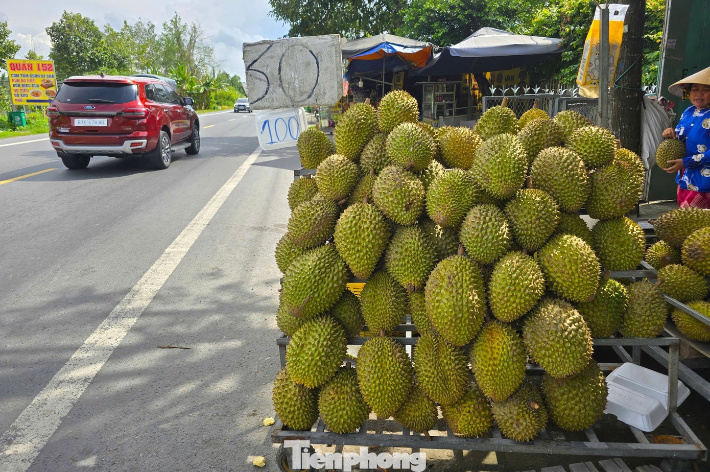 sau rieng anh 3
