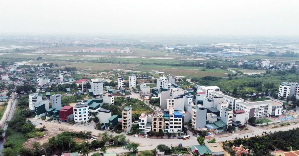 De xuat hoan tien cho nguoi chuyen dat vuon len dat o nop thue tien ty hinh anh