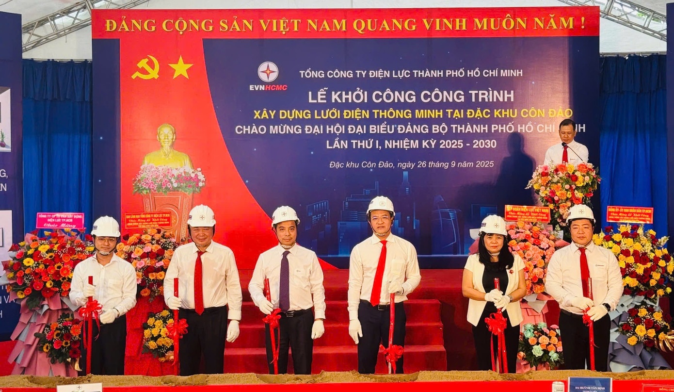 luoi dien thong minh anh 1