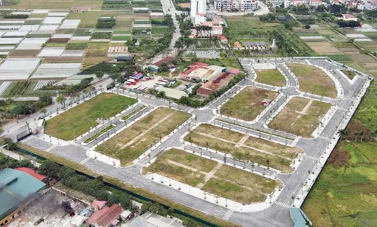 dau gia dat anh 1