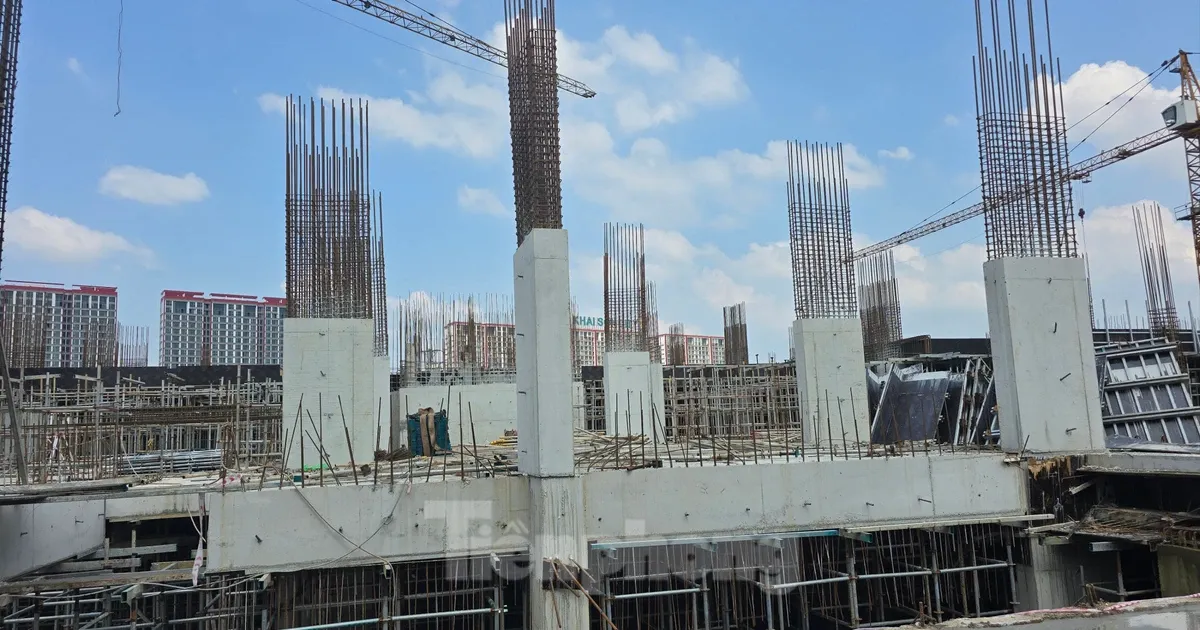 Nguoi dan kho nop ho so online mua NOXH, chu dau tu noi gi? hinh anh