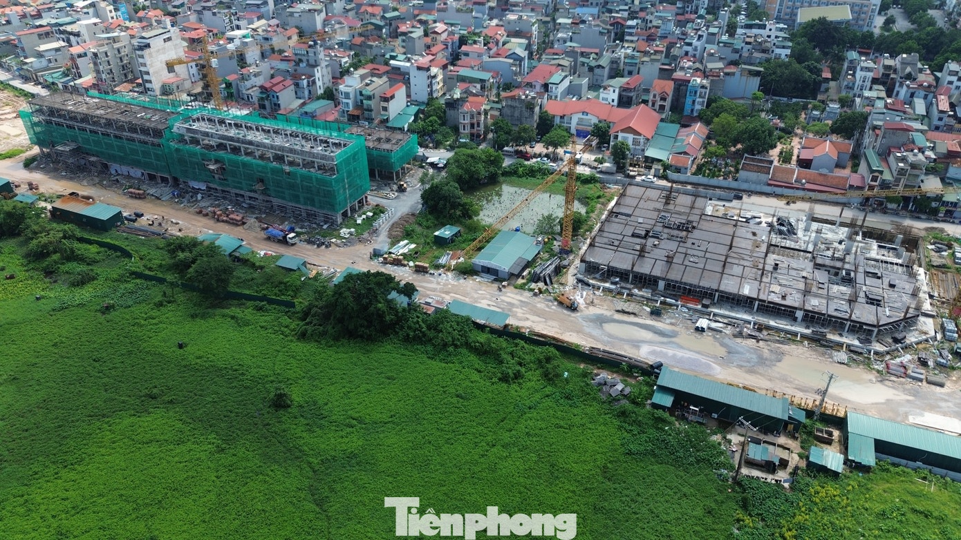 NƠXH Rice Long Châu ảnh 1 NOXH Rice Long Chau anh 1